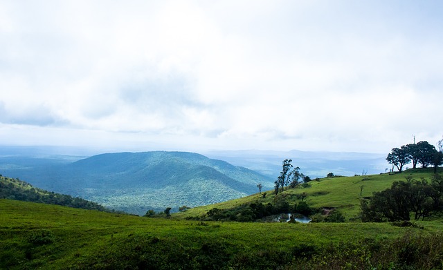 地的利用還 地的利用還