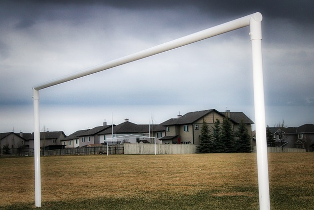 予厚望的年 予厚望的年