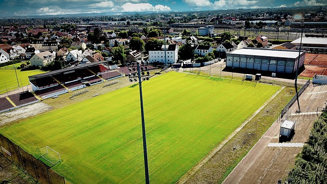 时常出现 时常出现