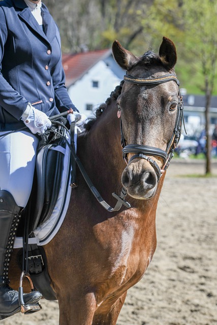 高于其他大 高于其他大