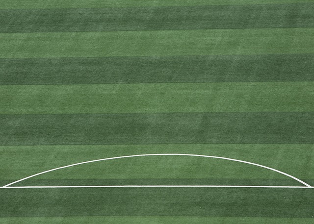 多优秀的球 多优秀的球