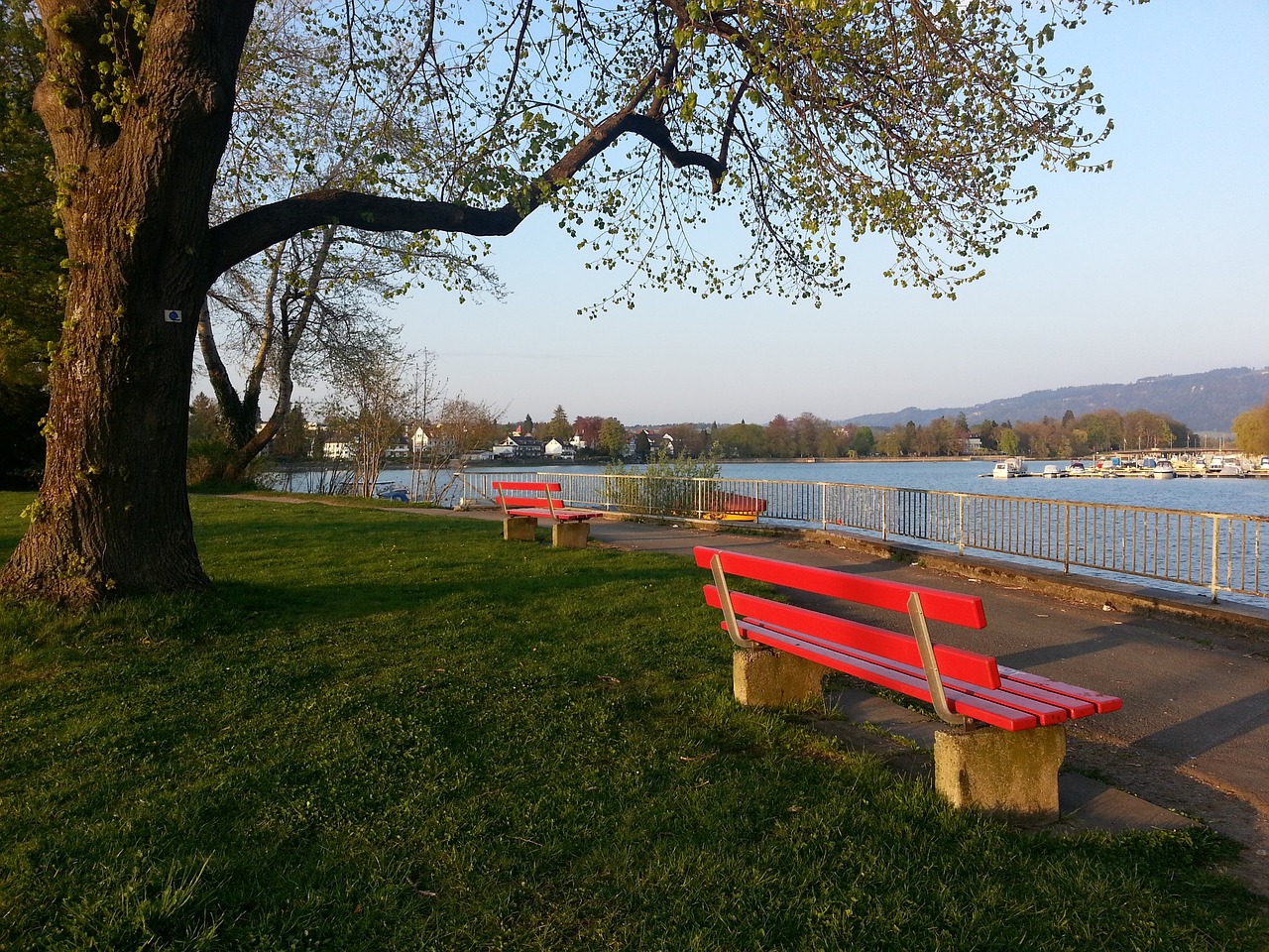 再次对阵老 再次对阵老