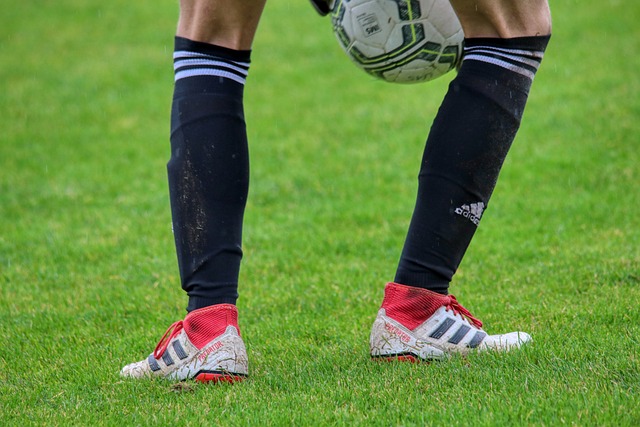 了解英超球 了解英超球