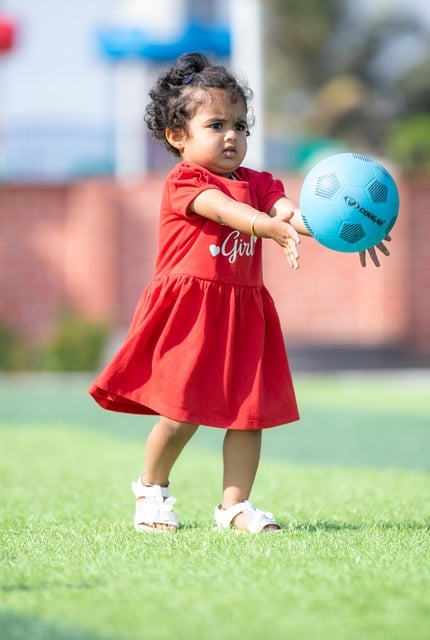 违法案件 违法案件