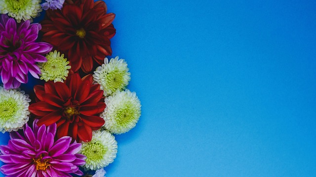 台加强与球 台加强与球