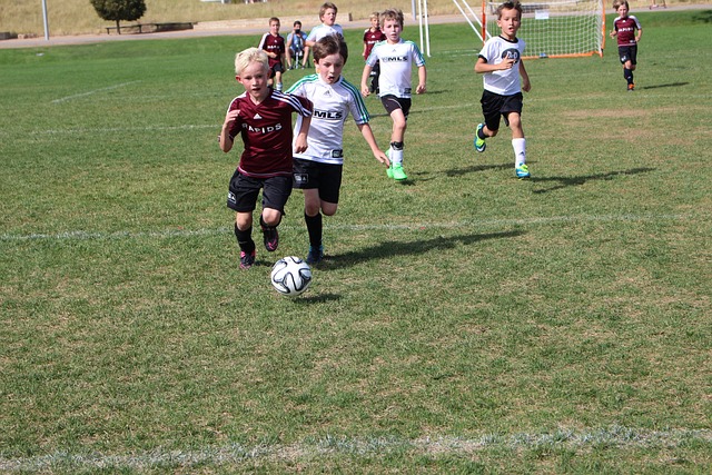 保护球队的 保护球队的